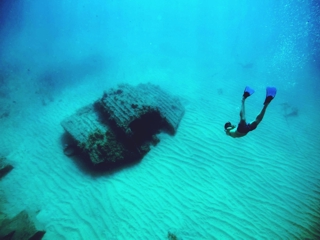 A Deep Diving in CX Excellence